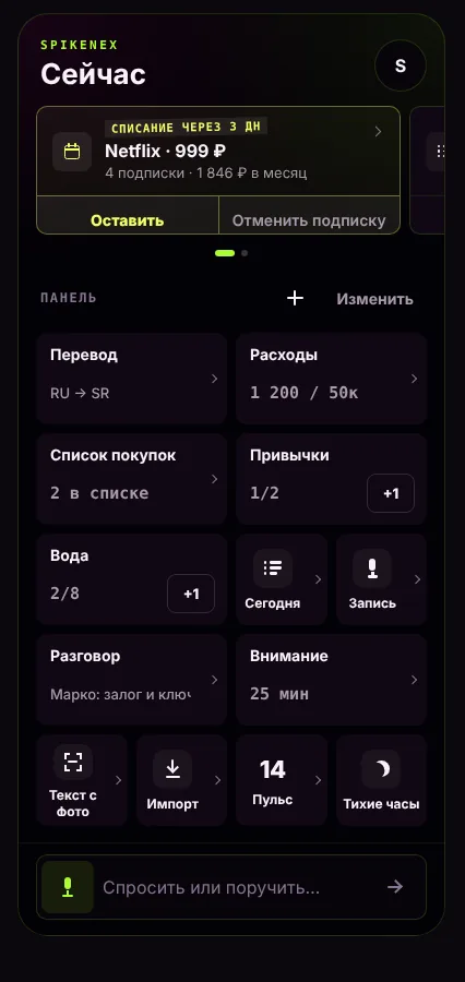 Единый ввод Spikenex маршрутизирует задачу к локальной или облачной модели